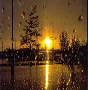 A day of rain cover image cdn