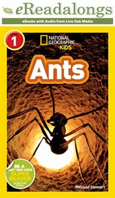 Ants cover image cdn