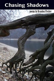 Chasing shadows cover image cdn