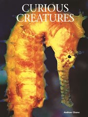 Curious creatures cover image cdn