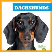 Dachshunds cover image cdn