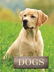 Dogs cover image cdn