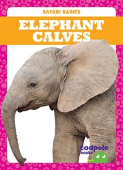 Elephant calves cover image cdn