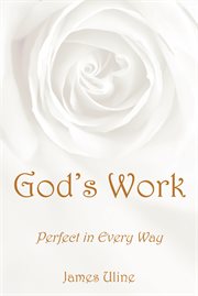 God's work. Perfect in Every Way cover image cdn