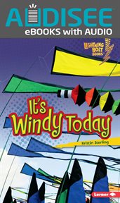 It's Windy Today cover image cdn