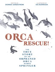 Orca rescue! : the true story of an orphaned orca named Springer cover image cdn