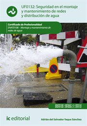 Seguridad en el montaje y mantenimiento de redes y distribución de agua y saneamiento. cover image cdn