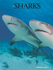 Sharks cover image cdn