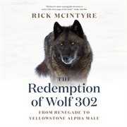 The redemption of wolf 302. From Renegade to Yellowstone Alpha Male cover image cdn