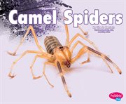 Camel spiders cover image cdn