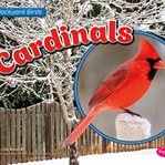 Cardinals cover image cdn