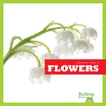 Flowers cover image cdn