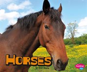 Horses cover image cdn