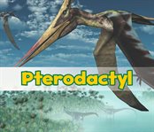 Pterodactyl cover image cdn