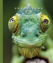 Chameleons cover image cdn