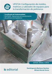 Configuración de moldes, matrices y cabezales de equipos para la transformación de polímeros : operaciones de transformación de polímeros termoplásticos (UF0724) cover image cdn