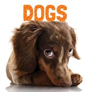 Dogs cover image cdn