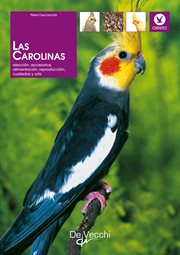 Las carolinas cover image cdn