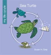 Sea turtle cover image cdn