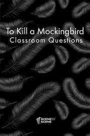 To kill a mockingbird classroom questions cover image cdn