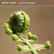 Lofi dreamz cover image cdn