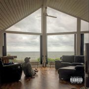 Pandemikultur cover image cdn