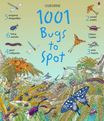 1001 bugs to spot  cover image cdn