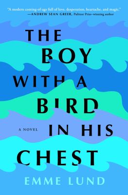 The boy with a bird in his chest  cover image cdn