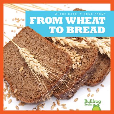 From wheat to bread  cover image cdn