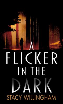 A flicker in the dark cover image cdn