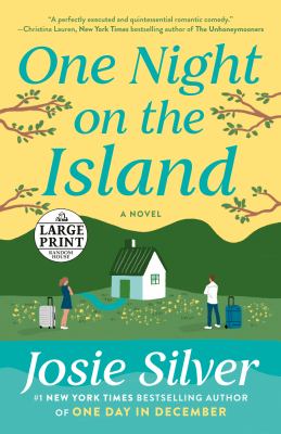 One night on the island cover image cdn