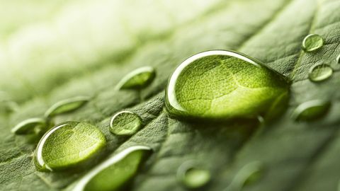 Biochemistry and Molecular Biology: How Life Works. Episode 2, Why Water Is Essential for Life cover image cdn