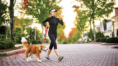 Biochemistry and Molecular Biology: How Life Works. Episode 15, How Animals Make Carbs and Fats cover image cdn