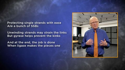 Biochemistry and Molecular Biology: How Life Works. Episode 26, DNA Replication in Bacteria; PCR in the Lab cover image cdn