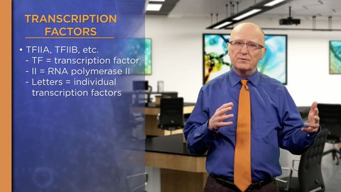 Biochemistry and Molecular Biology: How Life Works. Episode 30, Transcribing DNA to RNA cover image cdn