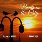 Birds in the city cover image cdn