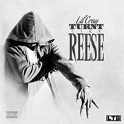 Turntlikereese cover image cdn