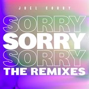Sorry (the remixes) [part 2] cover image cdn