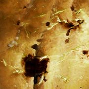 Requima ii cover image cdn