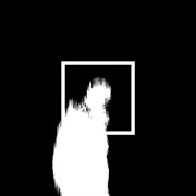 Paradise tension cover image cdn