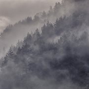 North cover image cdn