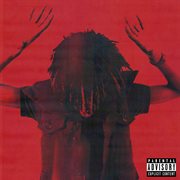 Disturbing the peace cover image cdn