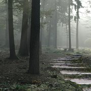 Daybreak cover image cdn