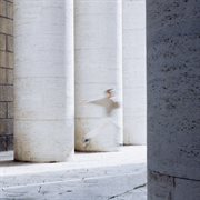 Alchimia cover image cdn