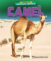 Camel cover image cdn