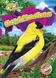 Goldfinches cover image cdn