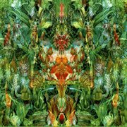 Emerald aether: shape shifting/reconstructions of irish music cover image cdn