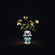 Renewal cover image cdn