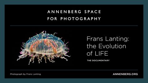Frans Lanting: the Evolution of Life cover image cdn