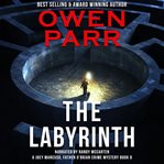 The labyrinth cover image cdn